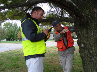 WPAFB-Tree-Inventory_Edward-Stewart-Alan-Bunker_small-e1444160624567