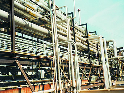 piperack-400-300